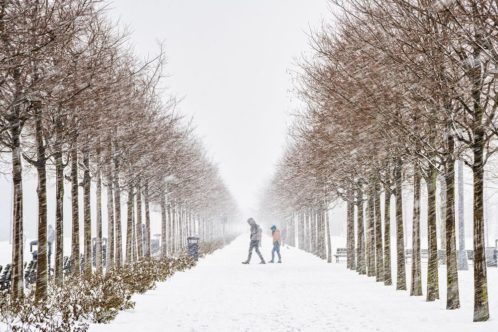 Фотография автора Fikriye Er