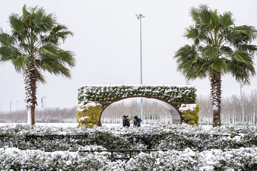 Фотография автора Fikriye Er