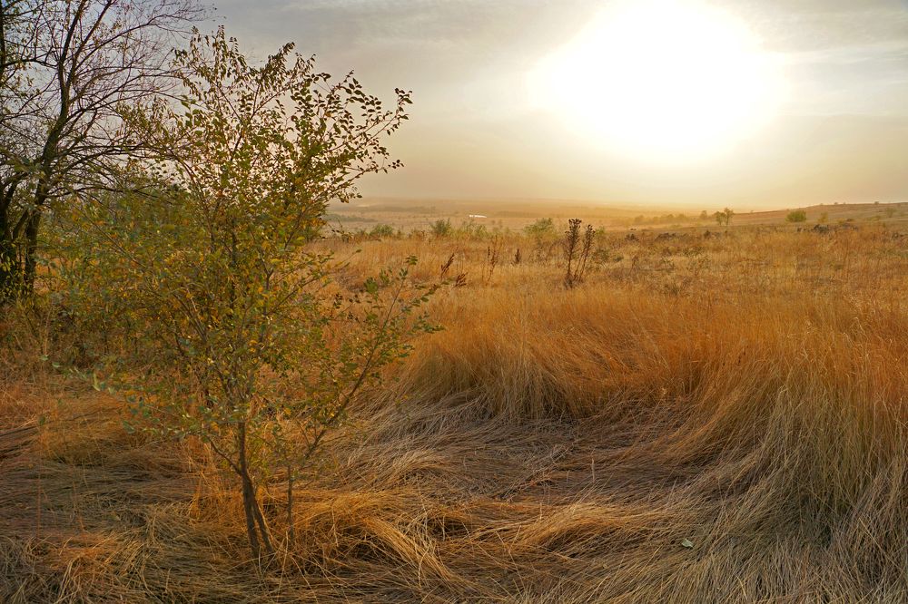 Гора Шаманская.