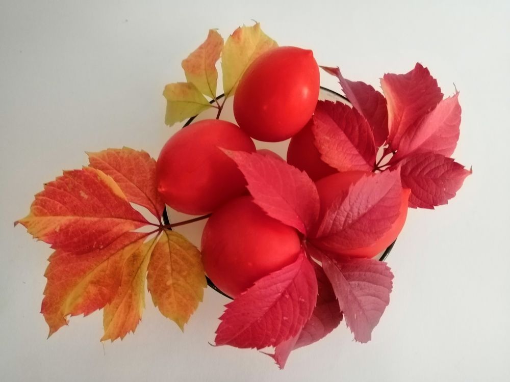 Photograph by Татьяна Чарушина