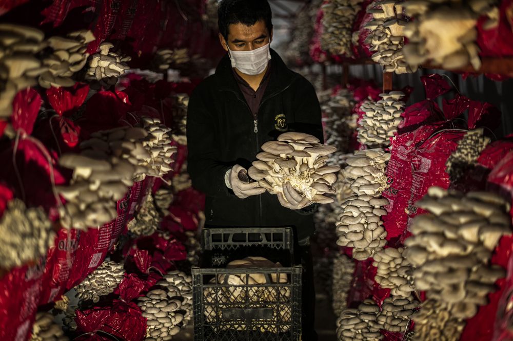 Фотография автора Fikriye Er