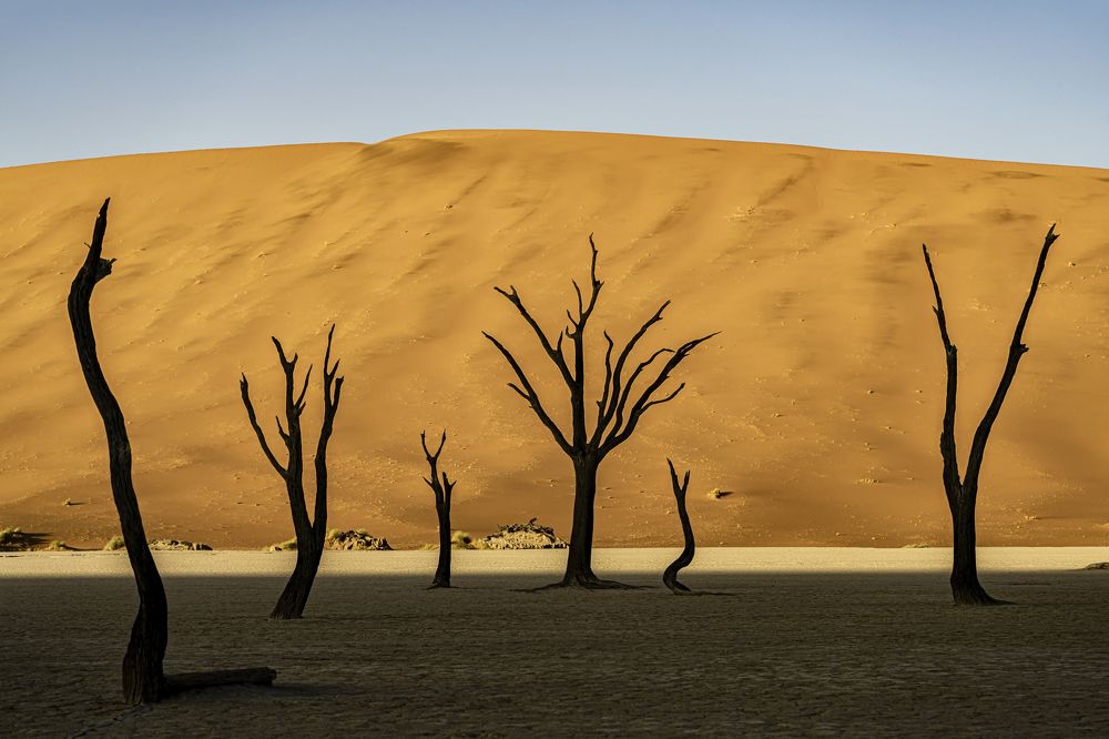 Фотография автора Fikriye Er