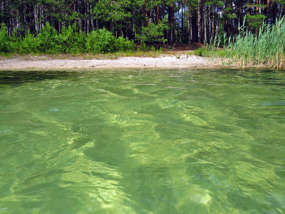 Photograph by Наташа Фишер