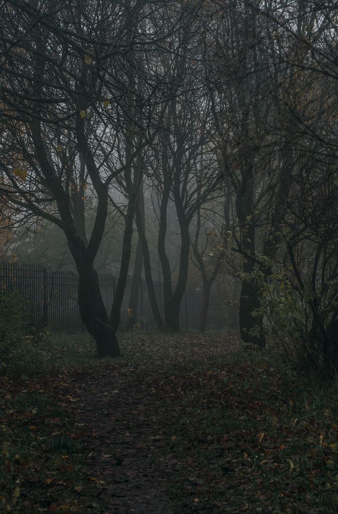 Photograph by Ольга Чуманова