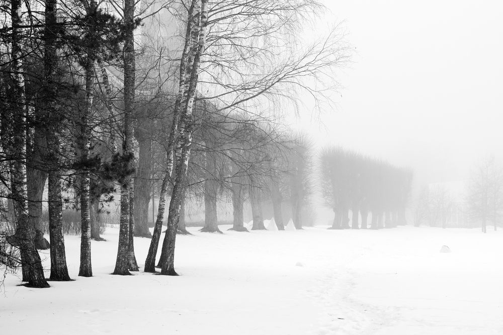 Photograph by Александр Клиновский