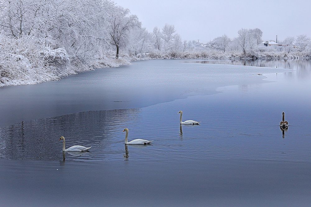 Photograph by Владимир Бурцев