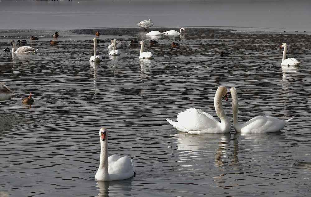 Photograph by Владимир Бурцев