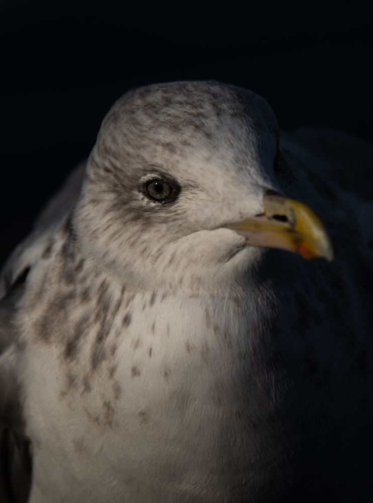 Photograph by Павел Невенчаный