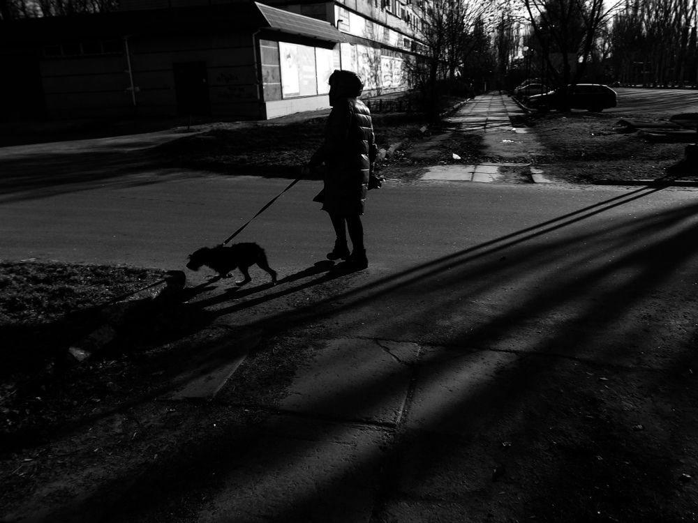 Photograph by Андрей Довганенко