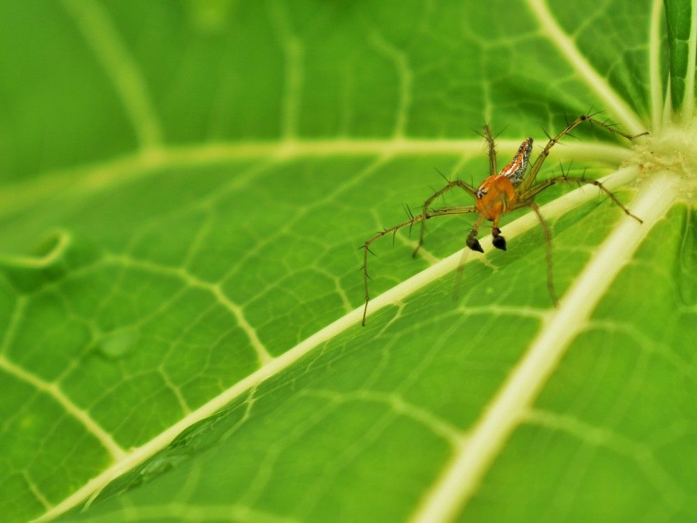 Photograph by Bhanupriya Marke