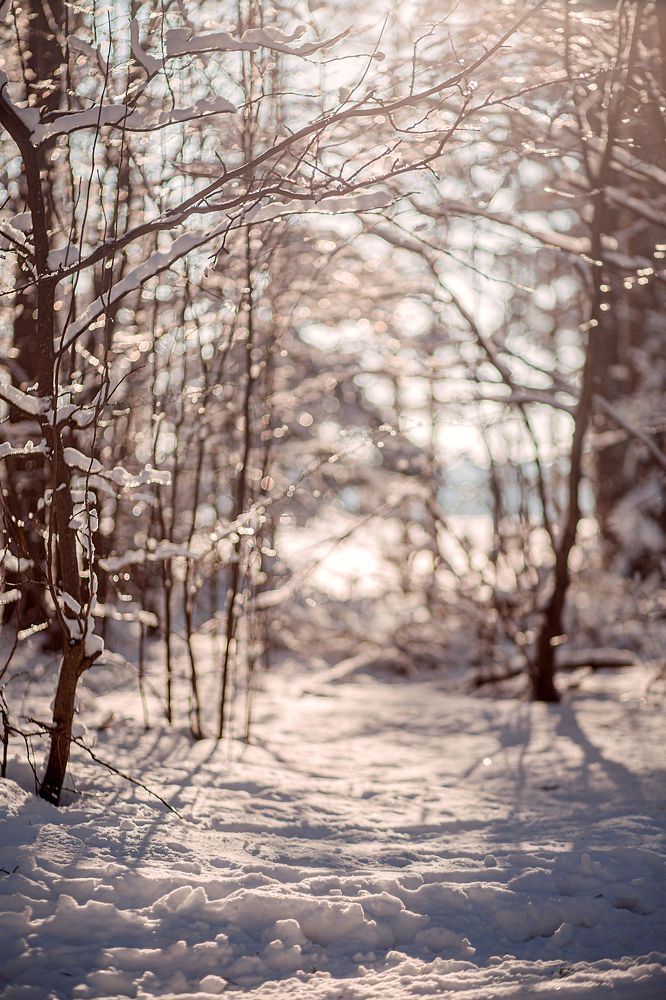 Солнечный снег