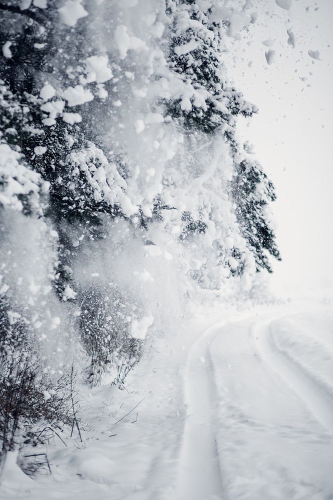 Падающий снег