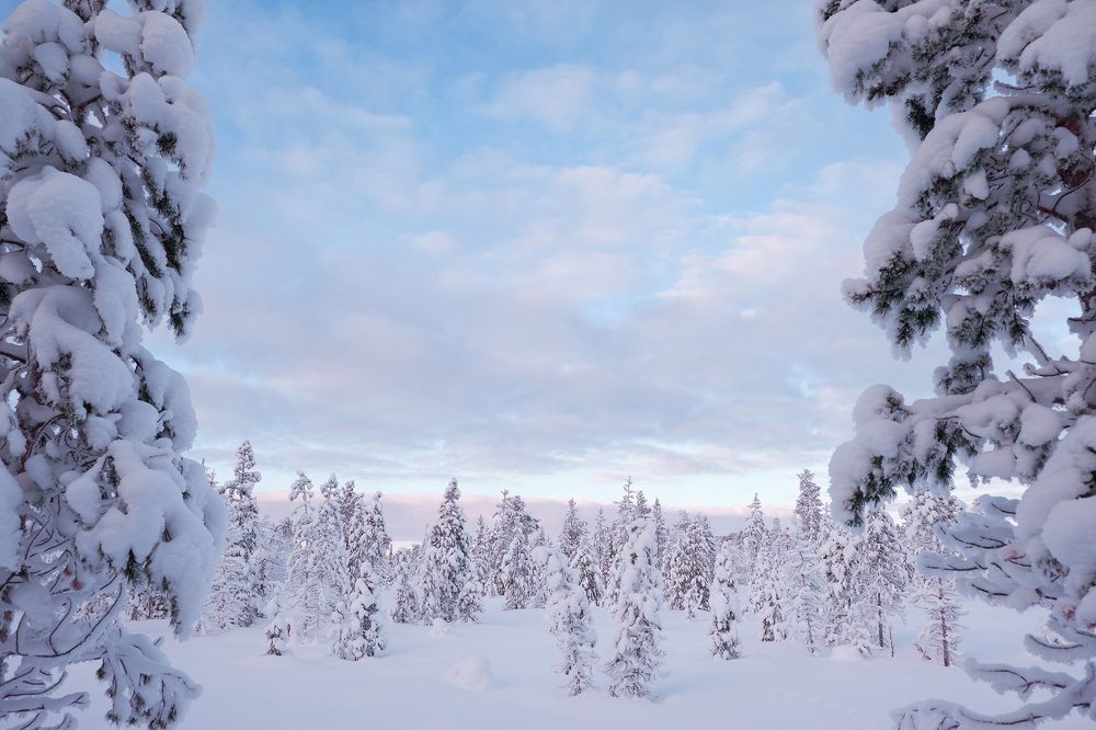 Photograph by Игорь Саломатин