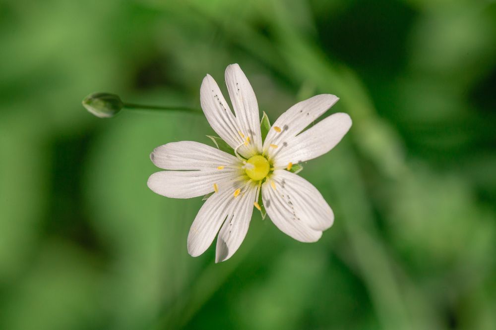Photograph by Анастасия Петрова