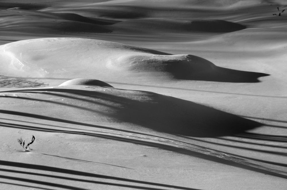 Тени на снегу