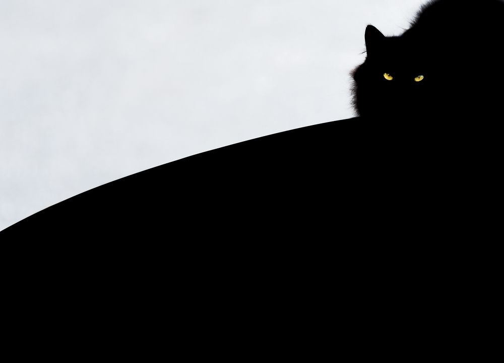 Photograph by Tomek Orylski