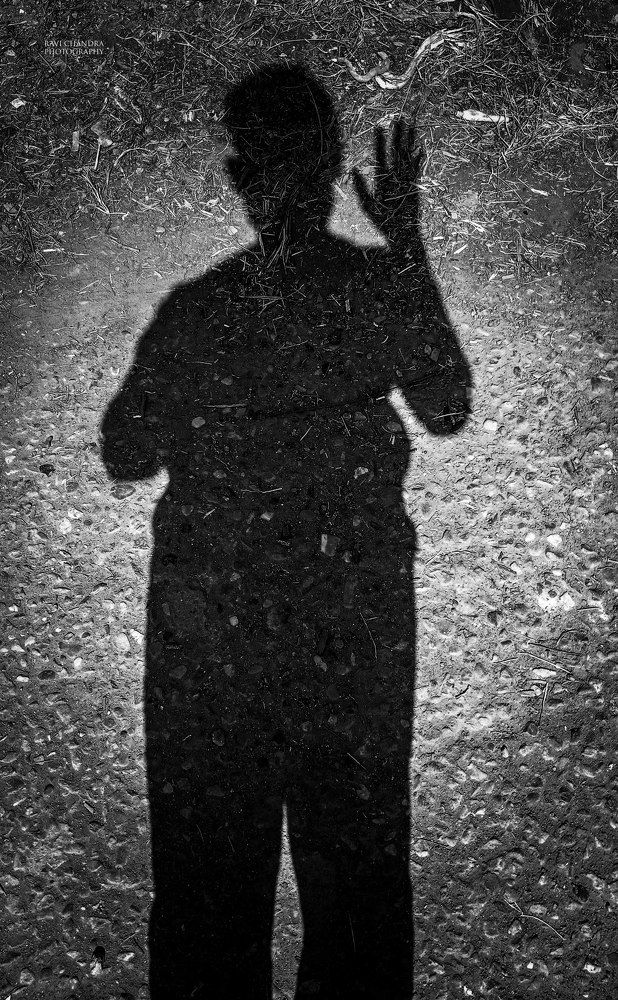 Photo #5916062