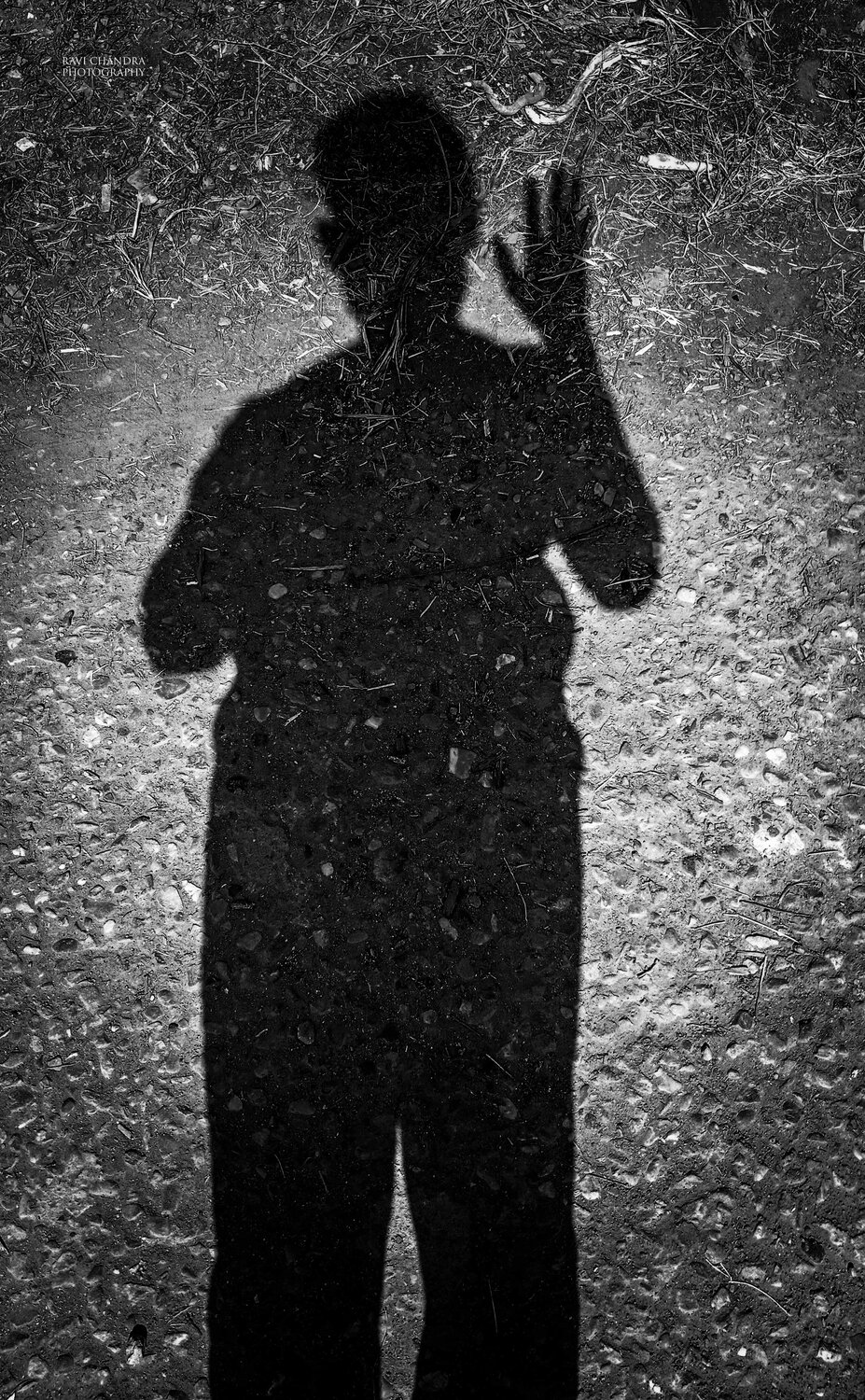 Photo #5916062