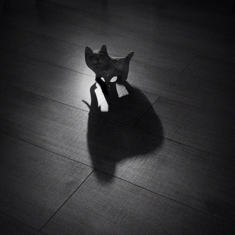 Photograph by Александр Усенко