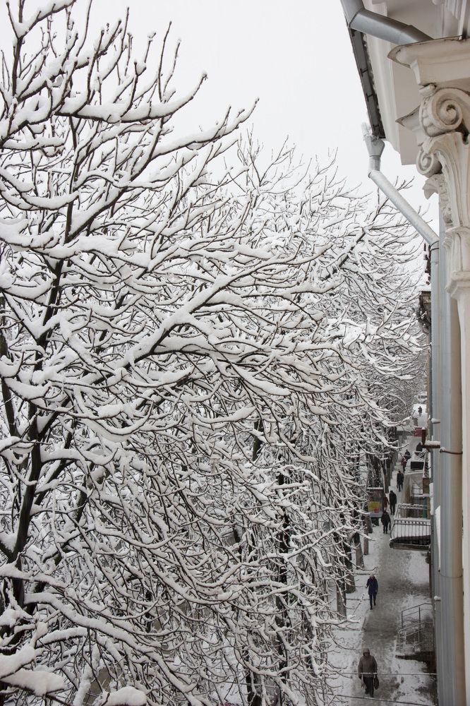 Photograph by Nataliia Nedelina