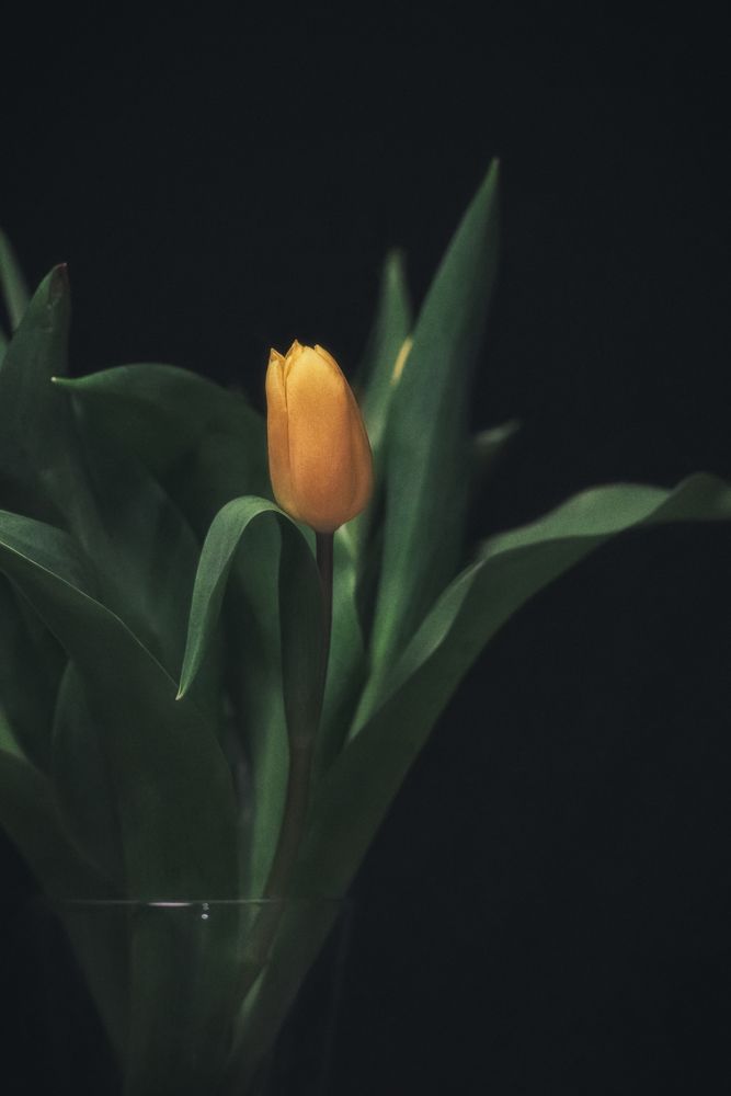 Photograph by Julia Carr