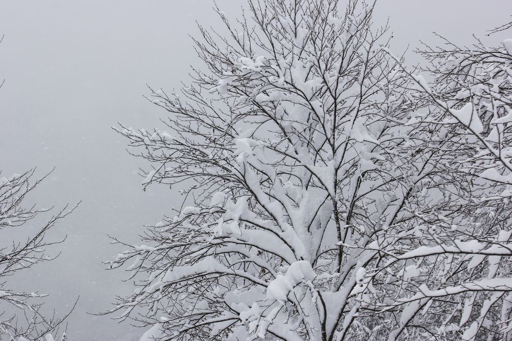 Photograph by Nataliia Nedelina