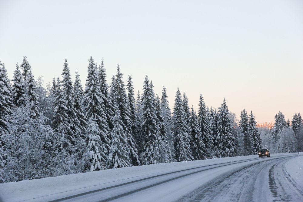 Photograph by Nataliia Nedelina