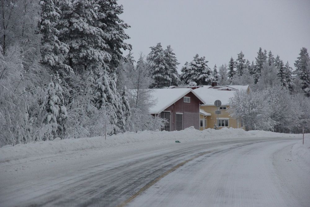 Photograph by Nataliia Nedelina