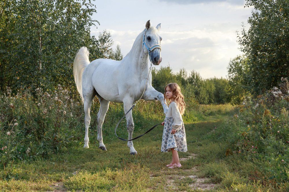 Photograph by Елена Пристайович
