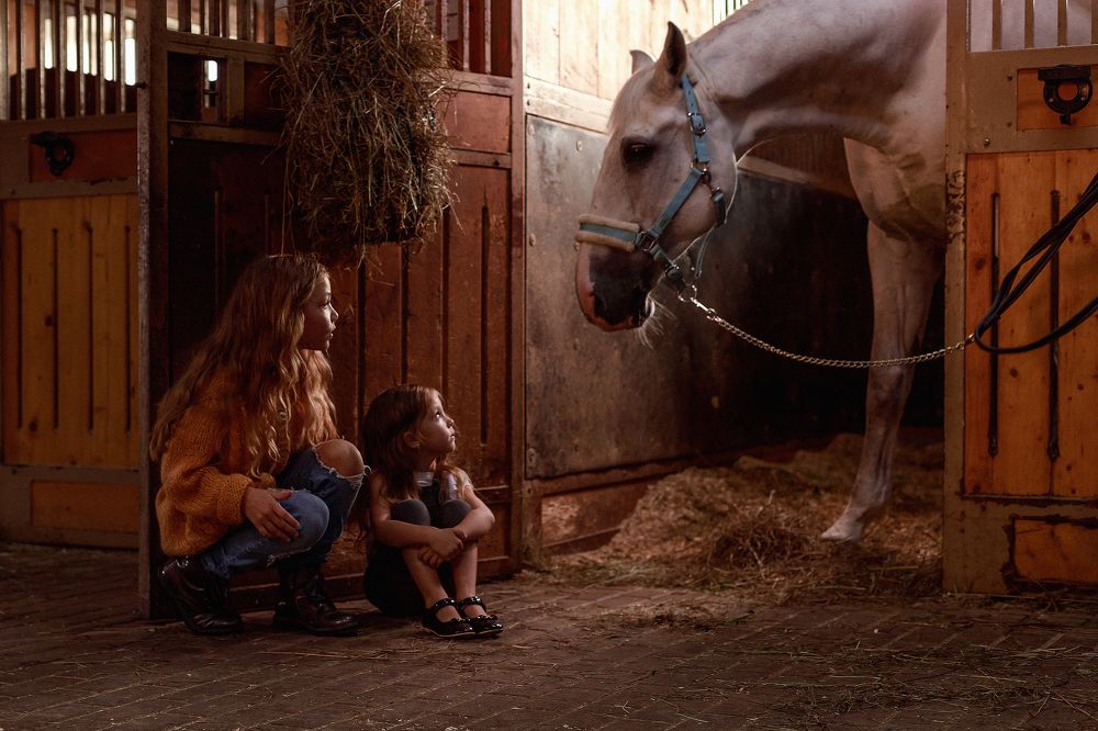 Photograph by Елена Пристайович