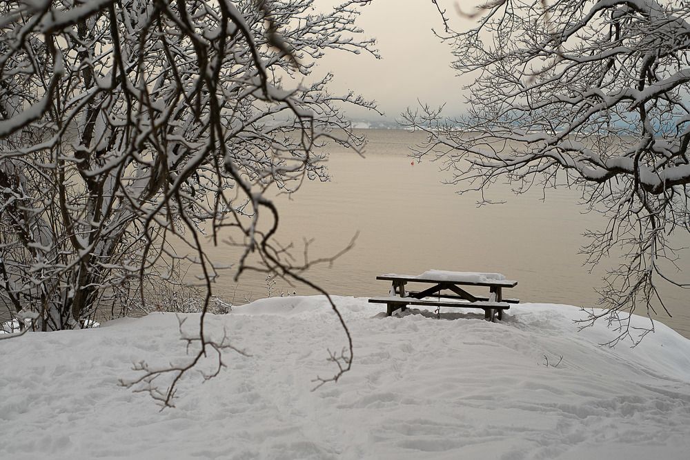 Photograph by Svetlana Davydova