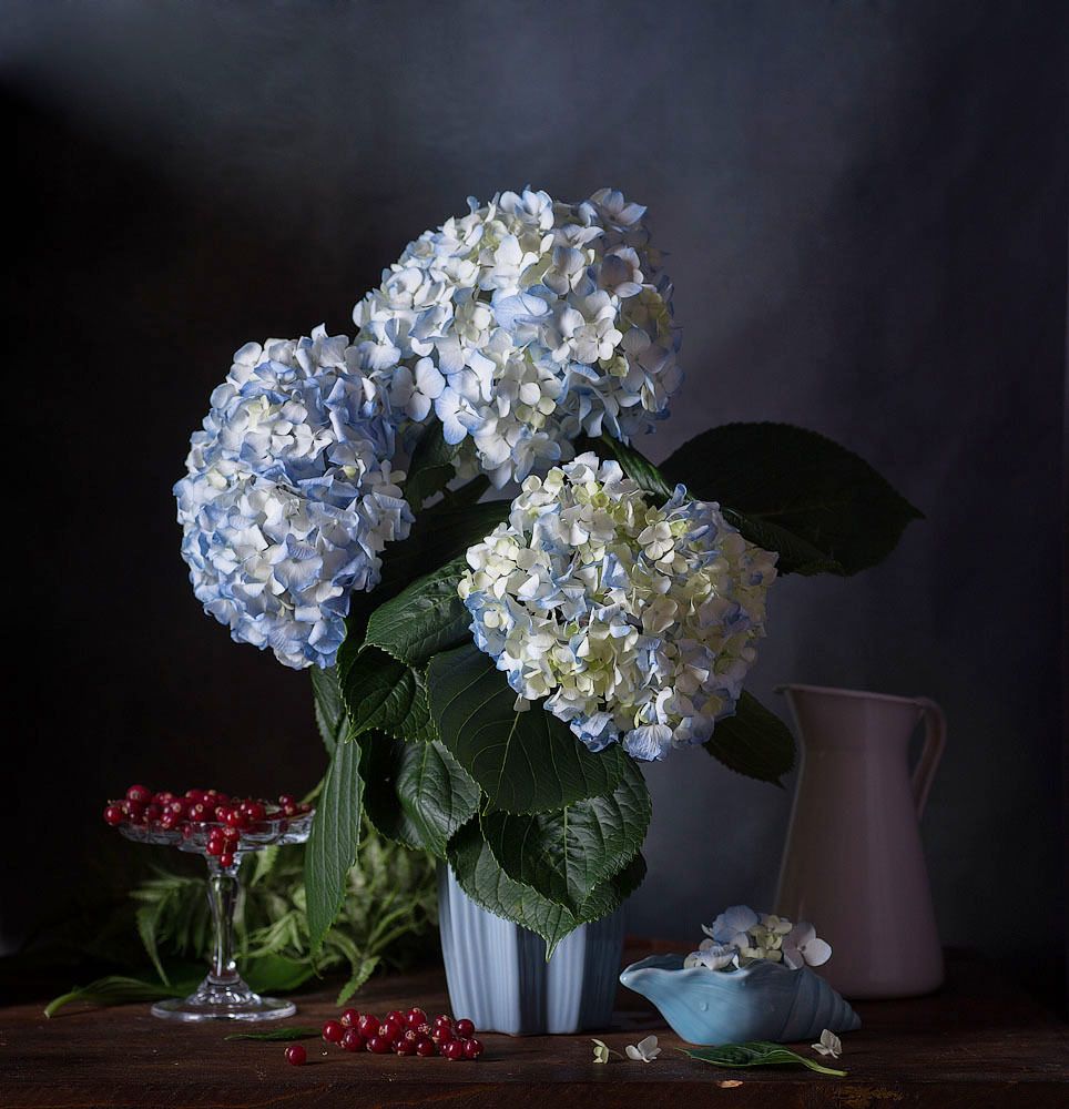 Фотография автора Алина Ланкина