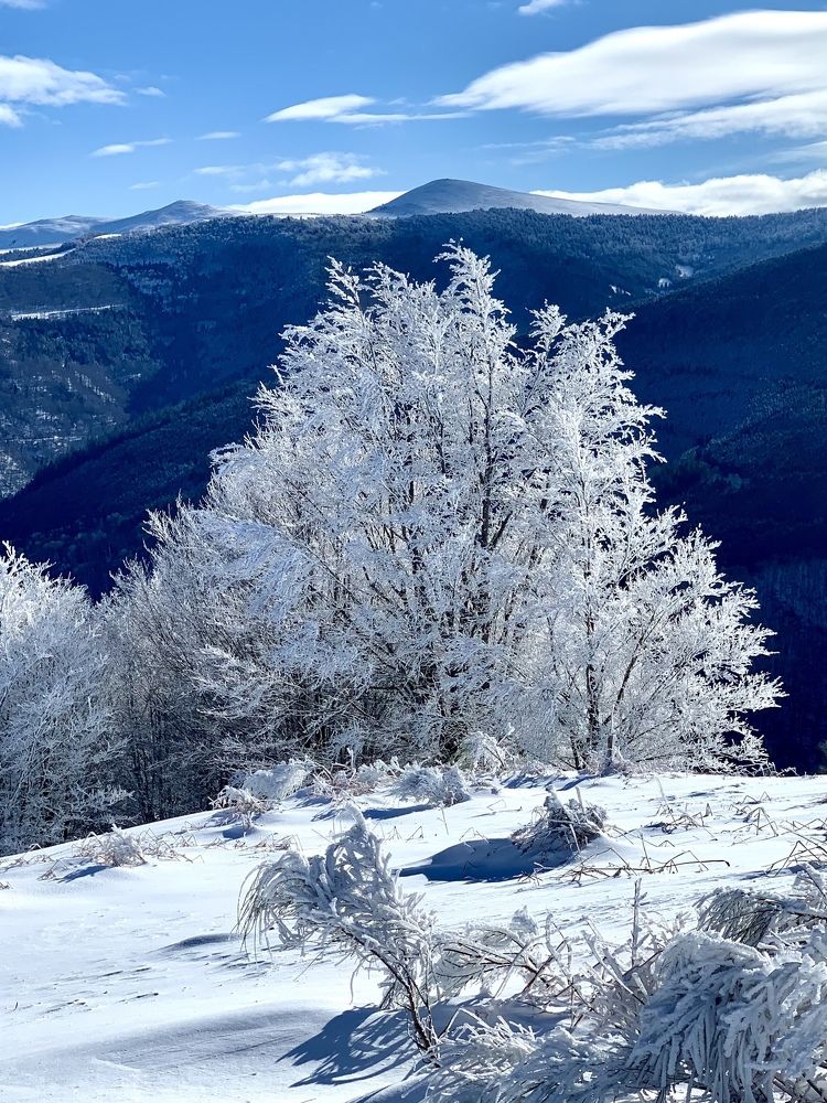 Photograph by Olga Tourtchinovitch