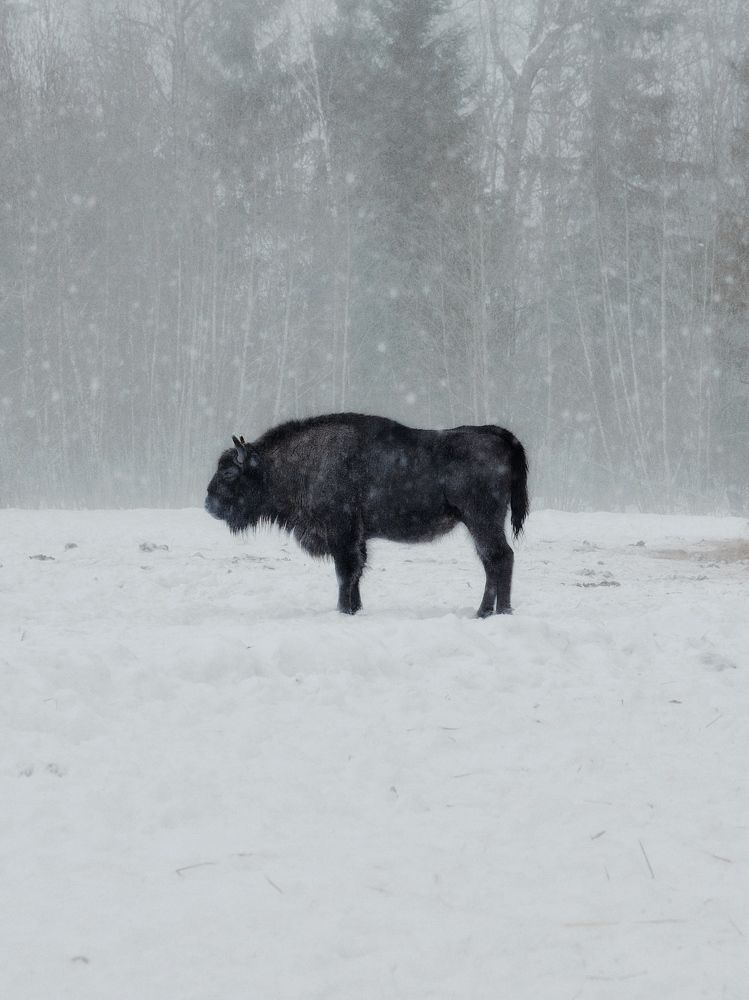 Photograph by Сергей Протасов