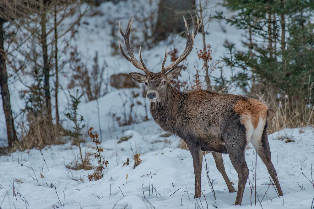 Photograph by Tomaš Smutný