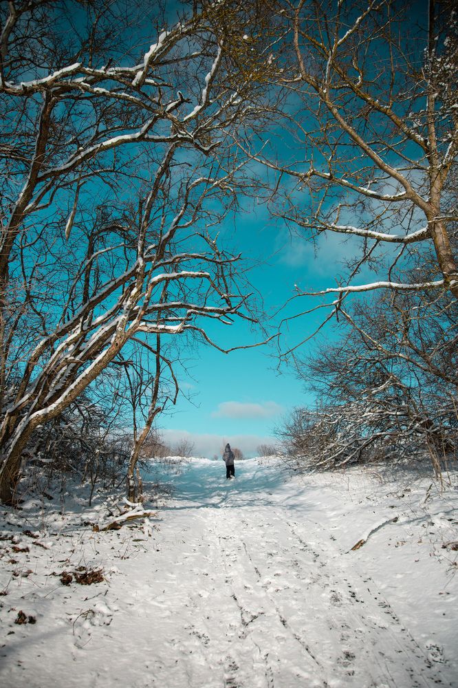 Photograph by Екатерина Кваша