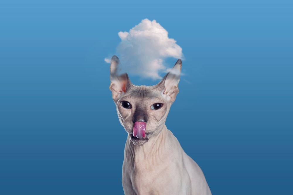 Photograph by Николай Сизиков