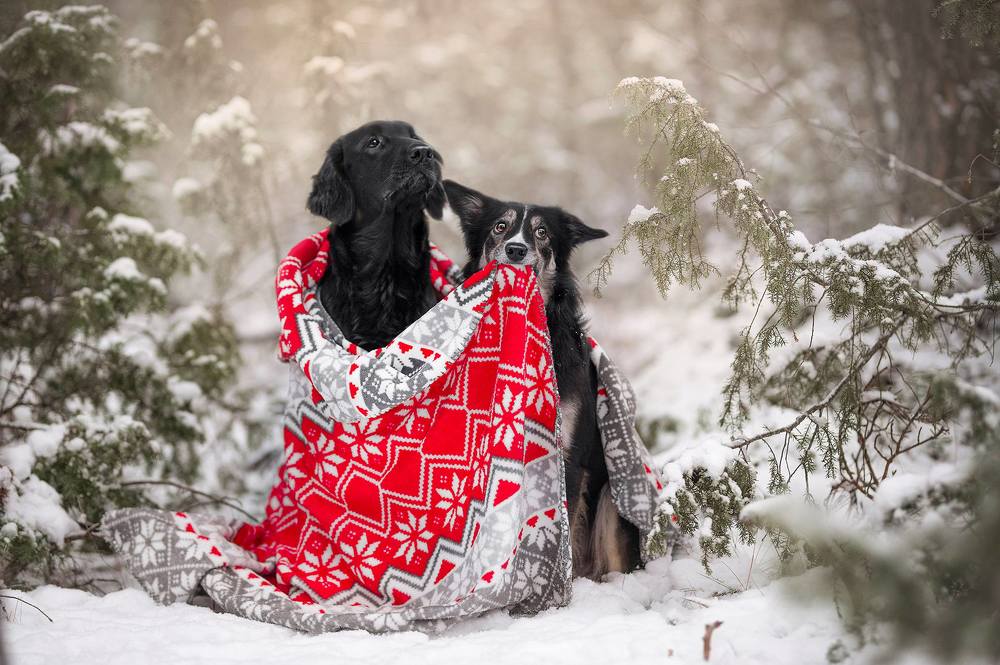 Photograph by Karina Saarestik