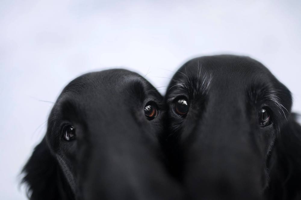 Photograph by Karina Saarestik