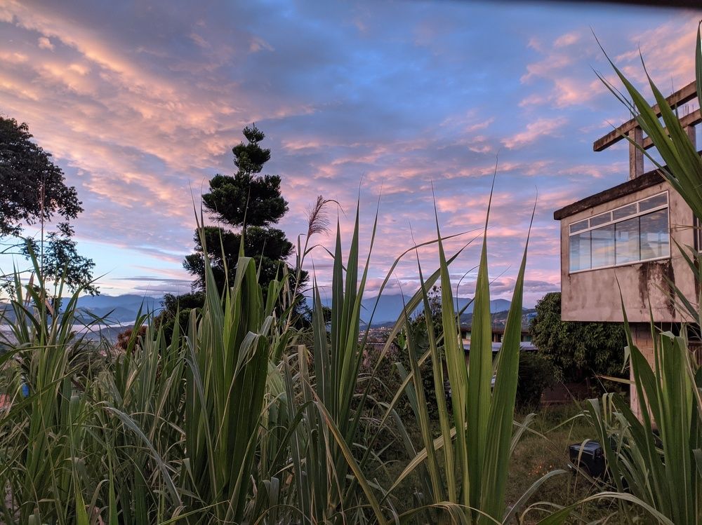 Photograph by Edgar Guillén