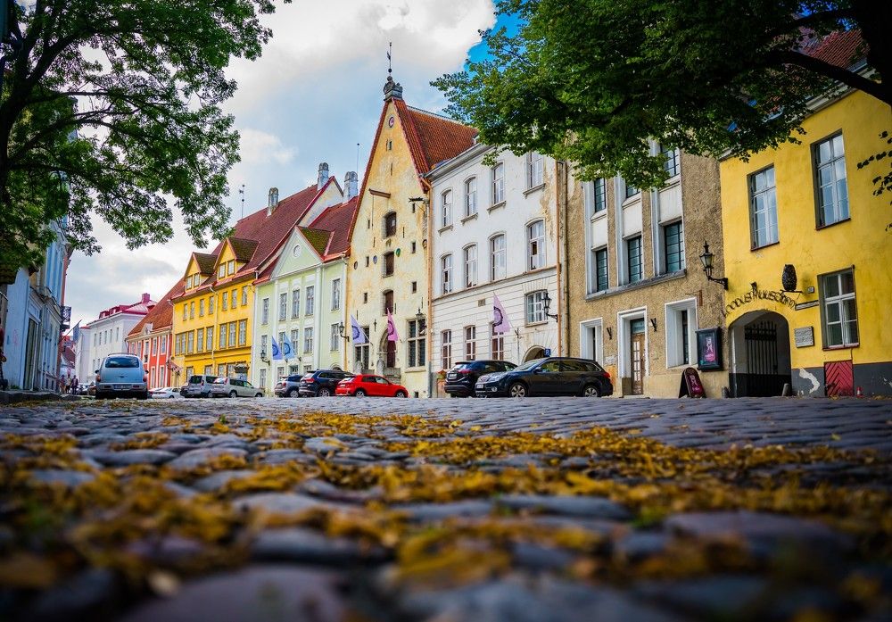 Photograph by Vlad Maslakov