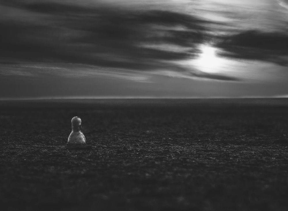 Photograph by Дмитрий Темпус