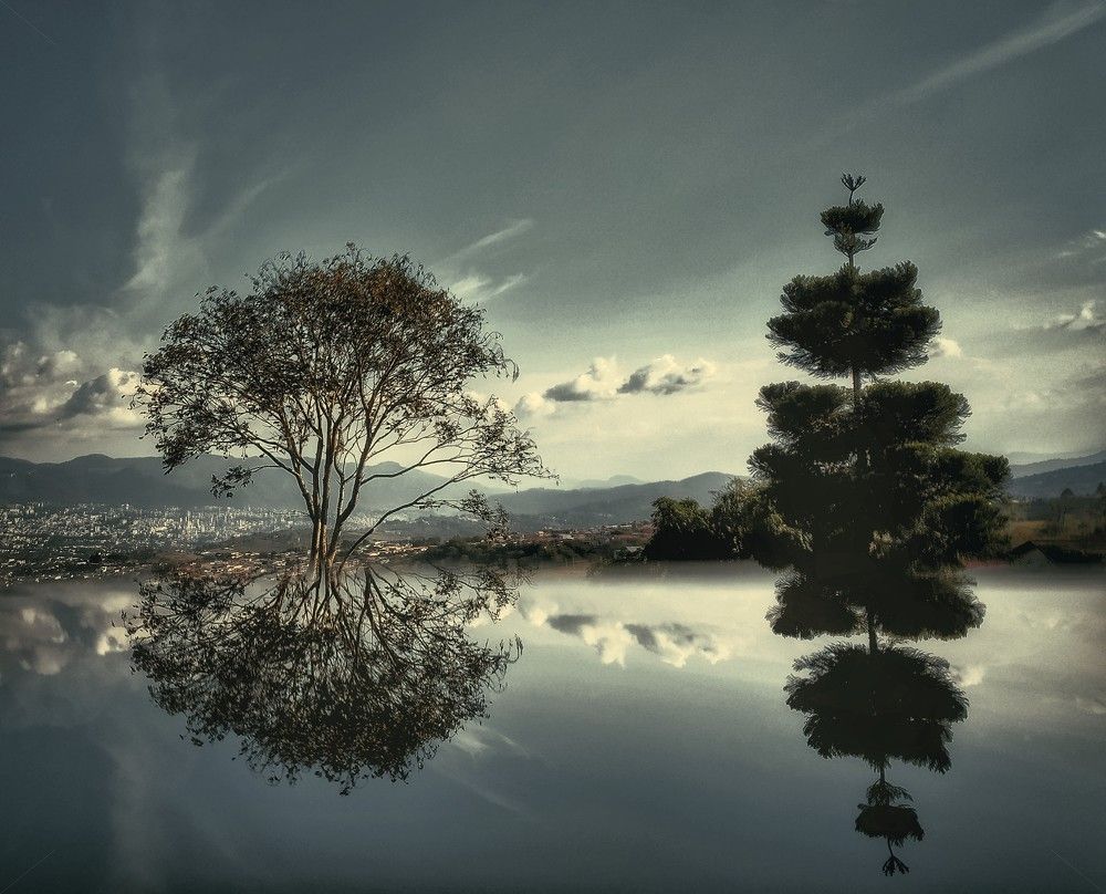 Photograph by Edgar Guillén