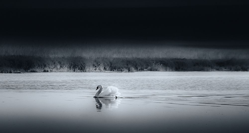 Photograph by Владимир Каюков