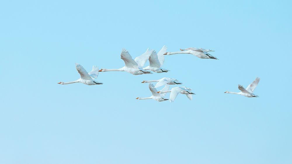 Photograph by Владимир Каюков