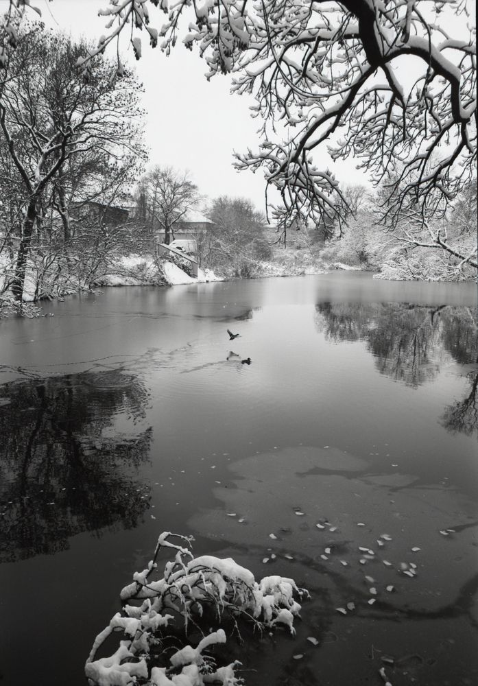 Photograph by Игорь Юркивский