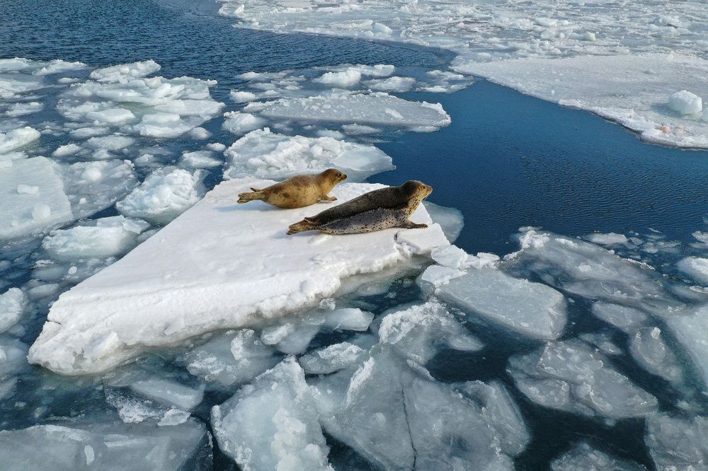 Photograph by Виктор О.