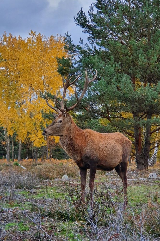 Photograph by Olga Weinberger