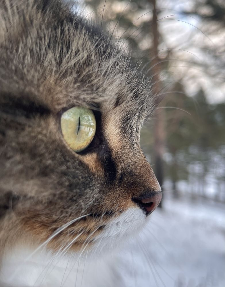 Photograph by Алексей Тихонов