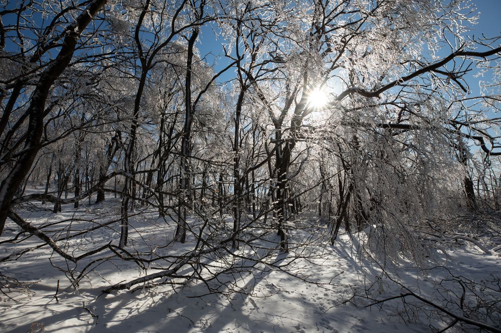 Photograph by TAISIA CHAIKA